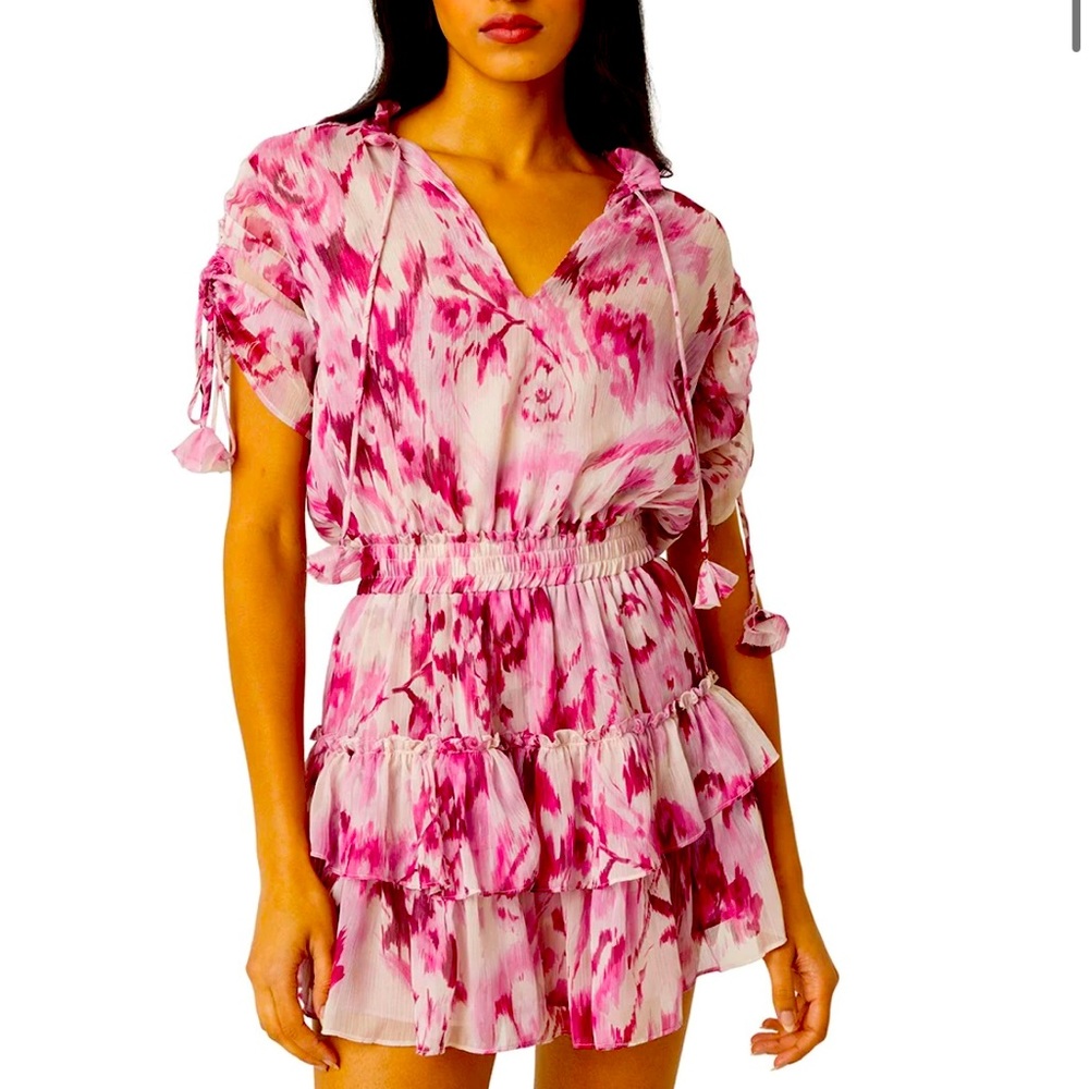 NWOT MISA LOS ANGELES Mini Dress-SOLD OUT!